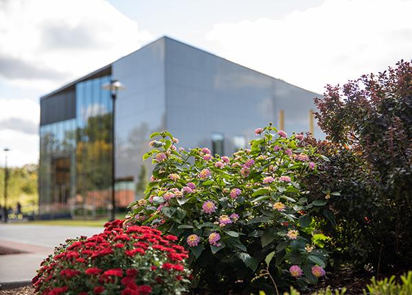 Flowers around Hursey building